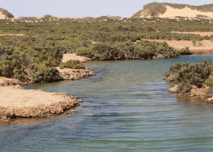 Saltwater Pools in the Imlili Desert