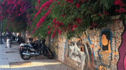 Hotels in Gueliz and Hivernage Neighborhoods of Marrakech