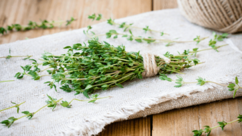 6 Za’atar Recipes You’ll Fall in Love With!