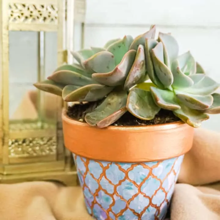 Succulent Painted Pot Project