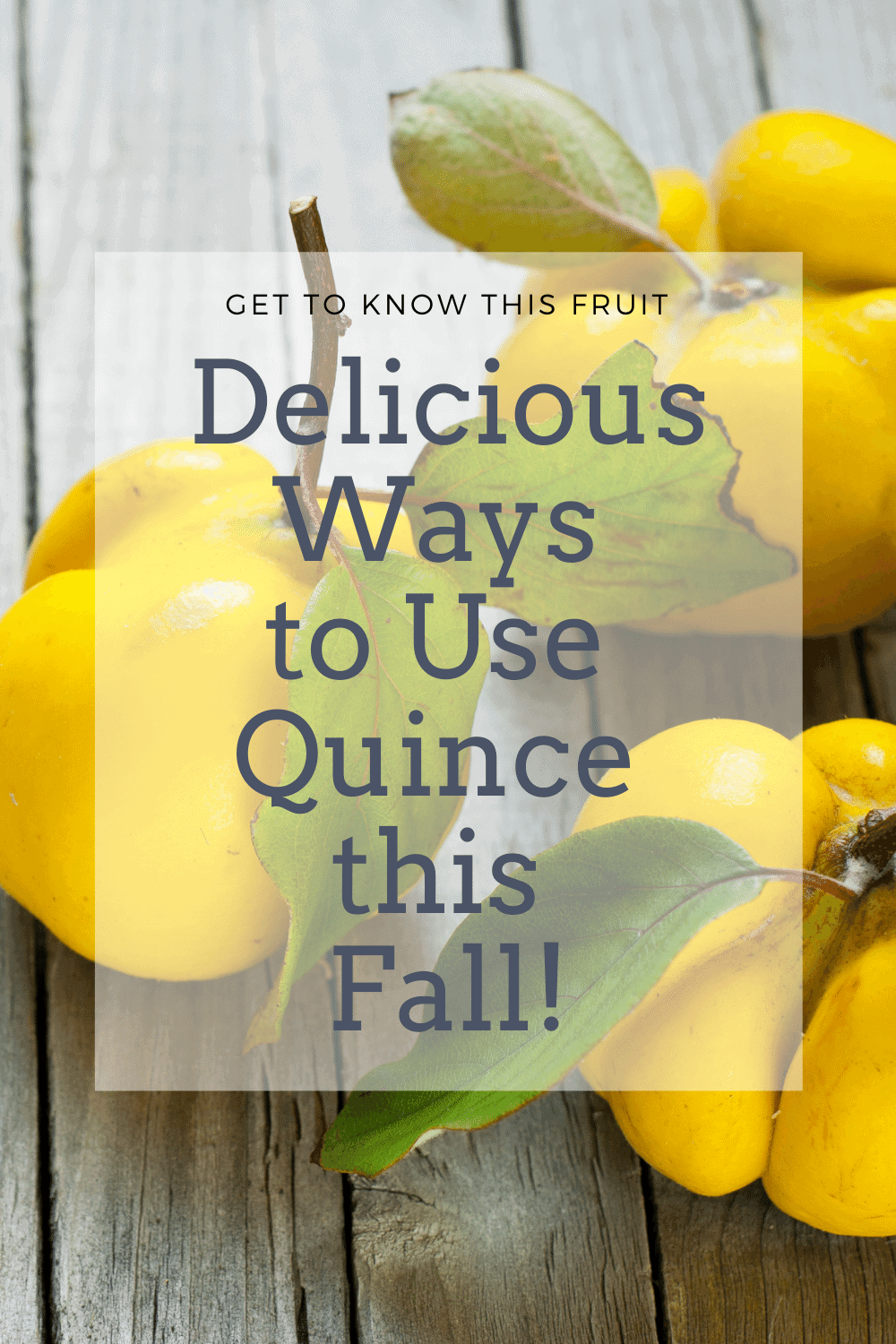 Amazing Quince Fruit Recipes You Should Try this Fall