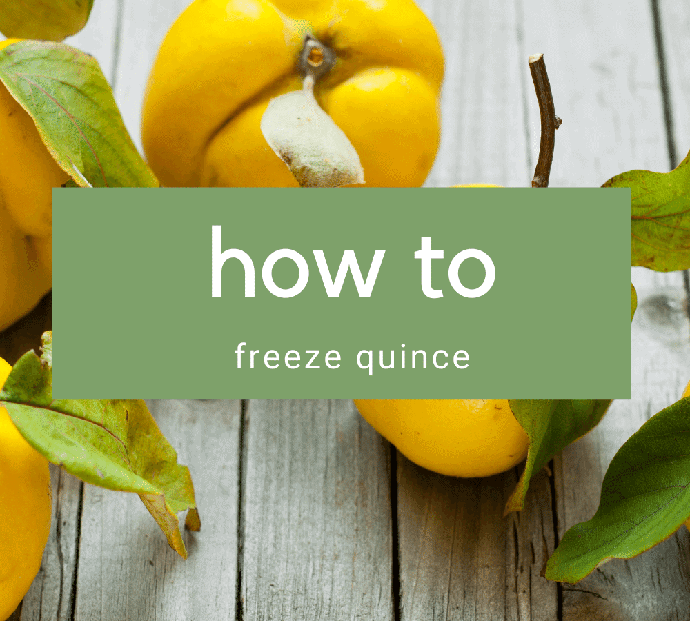 How to Freeze Quince