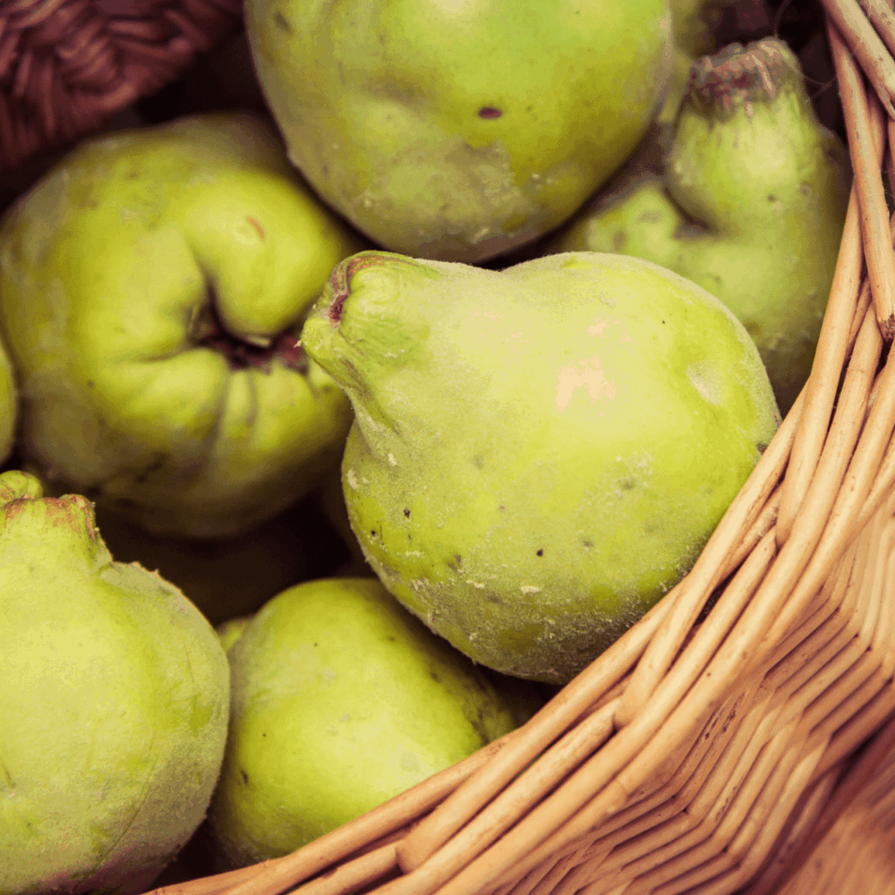 Amazing Quince Fruit Recipes You Should Try this Fall