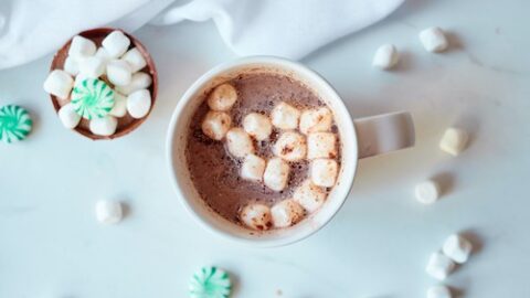 Mint Chocolate Hot Cocoa Ball