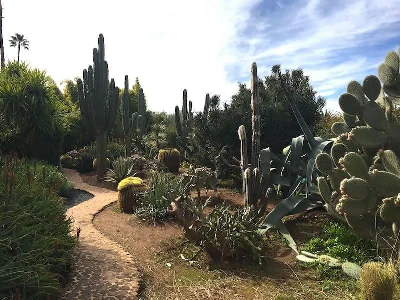 Anima Garden in Marrakech