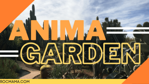 Marrakech’s Magnificent Anima Garden