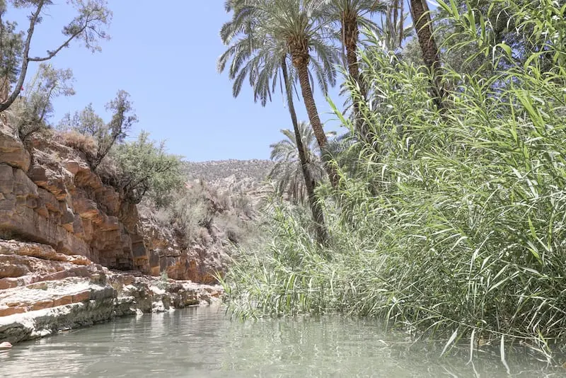 Paradise Valley Agadir - A Moroccan Oasis