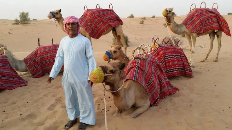 A man in a tradtional dishdash headress stands next to a camel with a red blanket on its back.