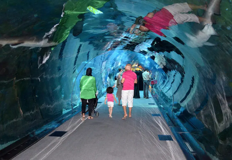 Family walks through an aquarium tunnel