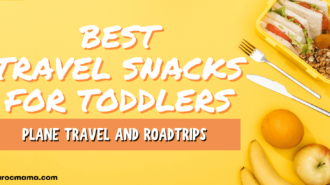 Best Toddler Food for Travel: Make Roadtrips and Plane Travel a Breeze