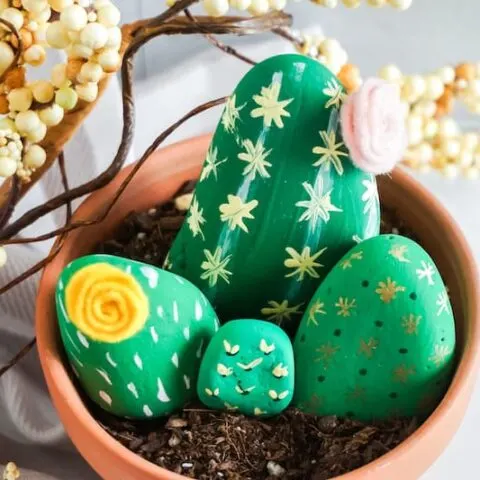 Create Your Own Moroccan Cactus Painted Rock Garden!