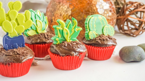 Succulent Chocolate Cupcakes with Edible Toppers