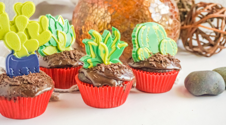 Succulent Chocolate Cupcakes with Edible Toppers