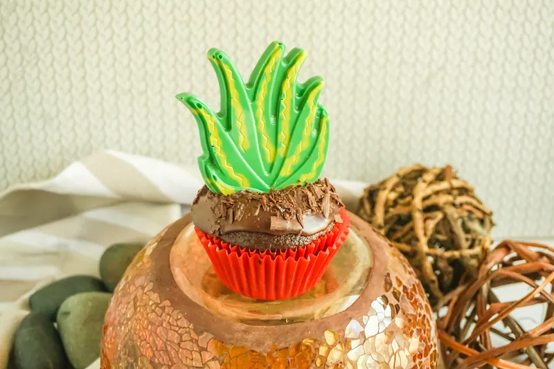 Succulent Chocolate Cupcakes with Toppers.jpg