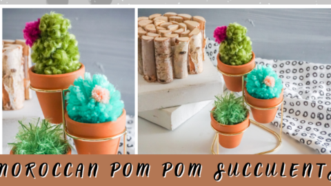 Moroccan Pom Pom Succulents