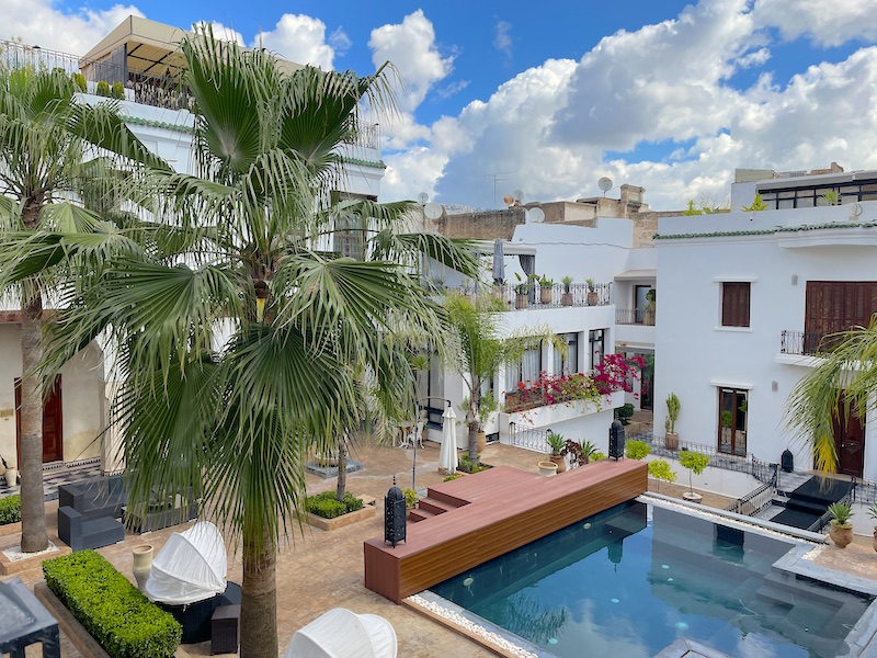A pool is centrally located around a palm tree and white riad buildings