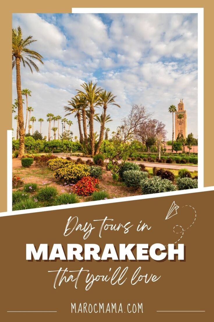 Day Tours in Marrakech That You’ll Love!