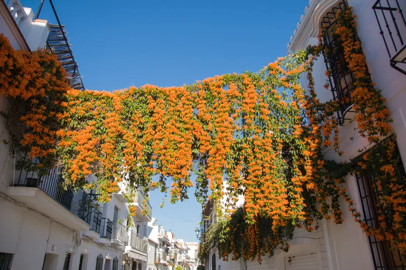 street in Nerja in Malaga, Andalucia, Spain