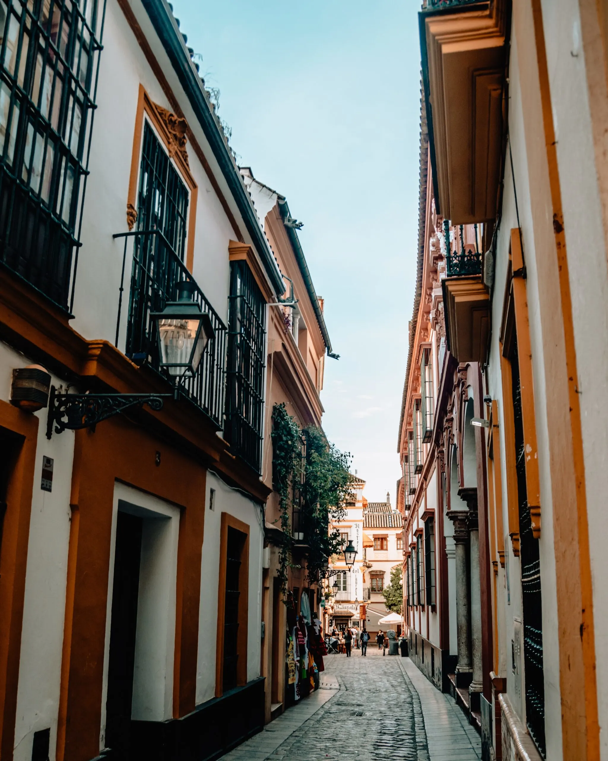 Walking tours in street and alleys during the Seville historical tours