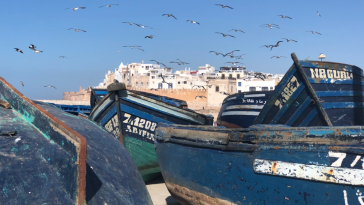 Boats in Essaouira