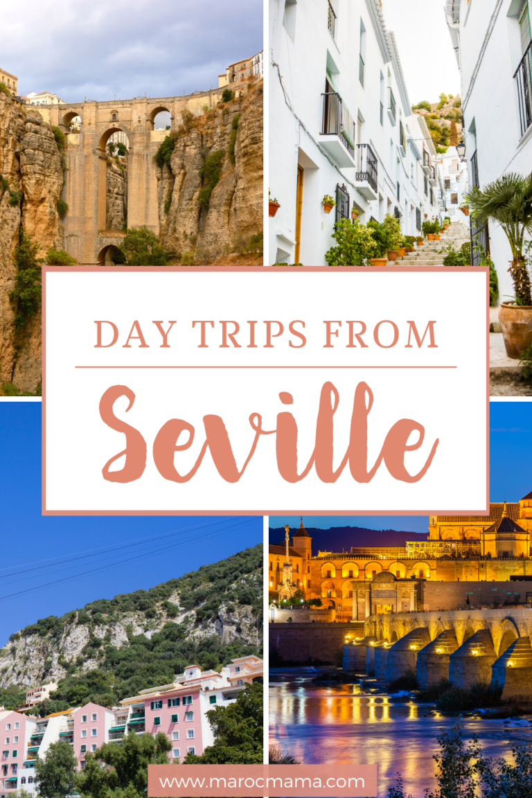 day trips out of seville