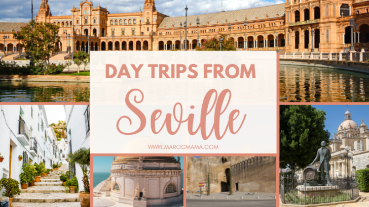 several places for your day trips form Seville