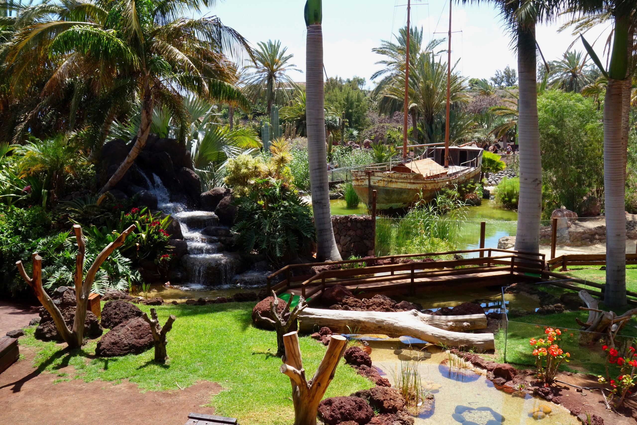 Oasis park botanical garden in Fuerteventura