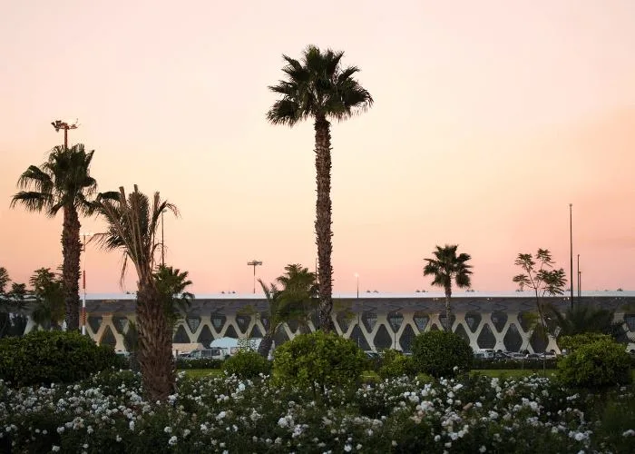 Marrakech airport at sunset. A low building with palm trees in front and pink sky
