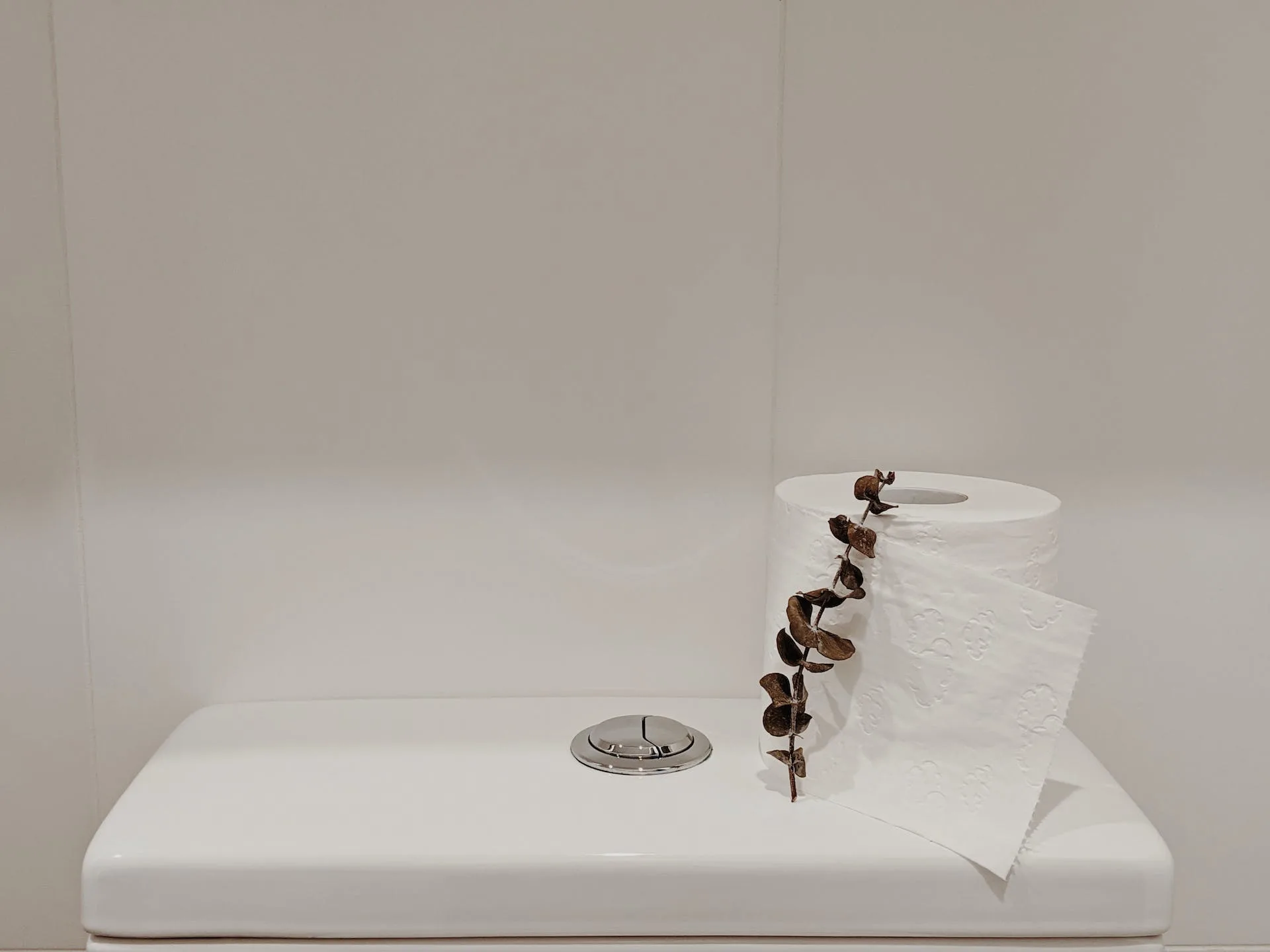 Toilet Paper Roll on White Ceramic Toilet Tank