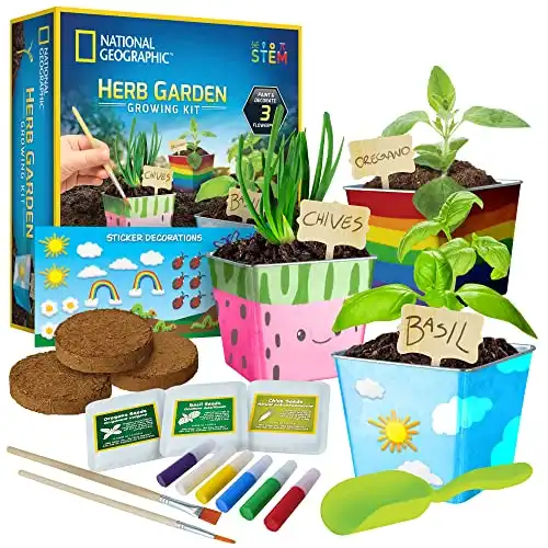 Herb Growing Kit for Kids