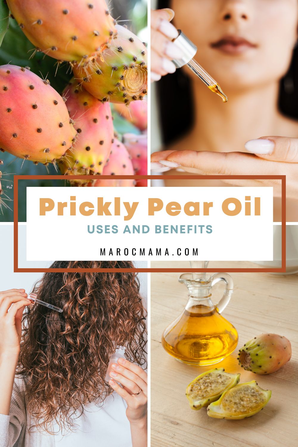 Prickly Pear Oil Uses and Benefits:Top to bottom,Close up shot of a prickly pear fruit on a cactus, a woman applying prickly pear oil on her skin, a woman with curly hair applying oil to her hair, and a bottle of prickly pear seed oil