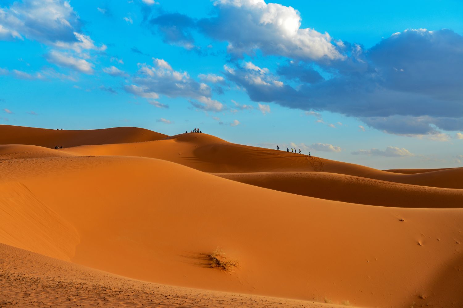 Sahara at Erfoud, Morocco