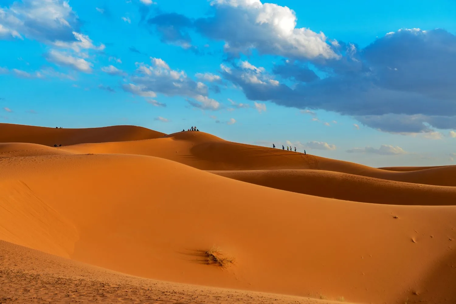 Sahara at Erfoud, Morocco